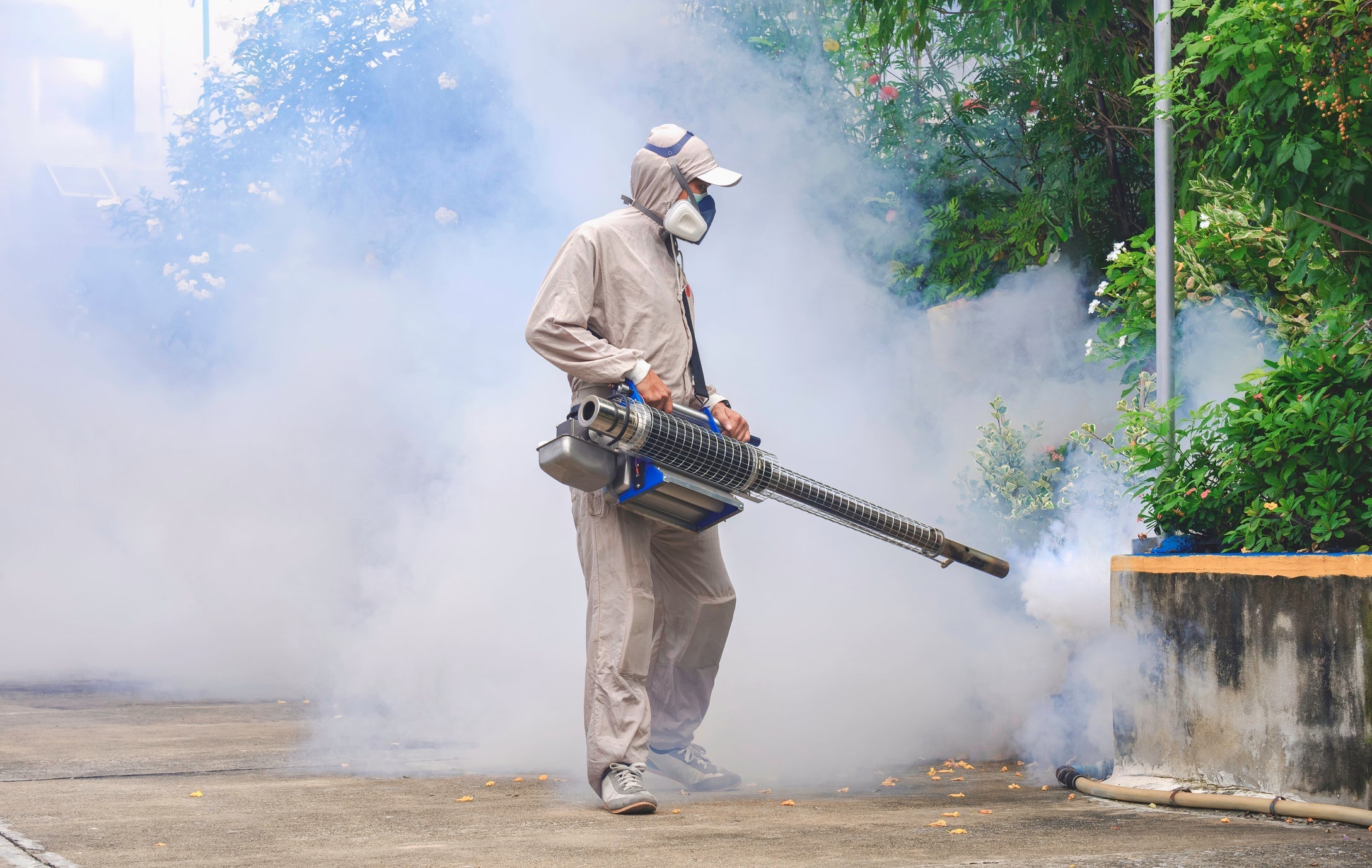 Hoe groot is de kans op dengue op Bali?