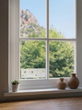 Window Fly Trap (4 stuks)